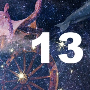 13